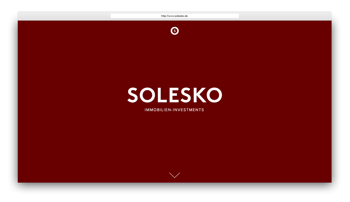 Screenshot of Solesko project