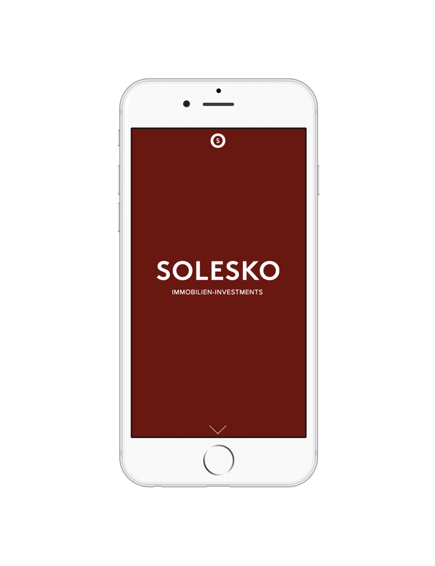 Screenshot of Solesko project